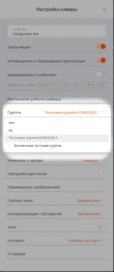 Окно настроек камеры платформы, выбор группы